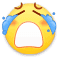 ::(泪)