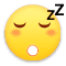 ::(睡觉)